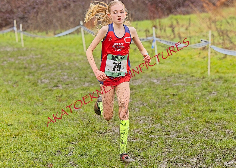 20260207 LONC XC00343A.JPG