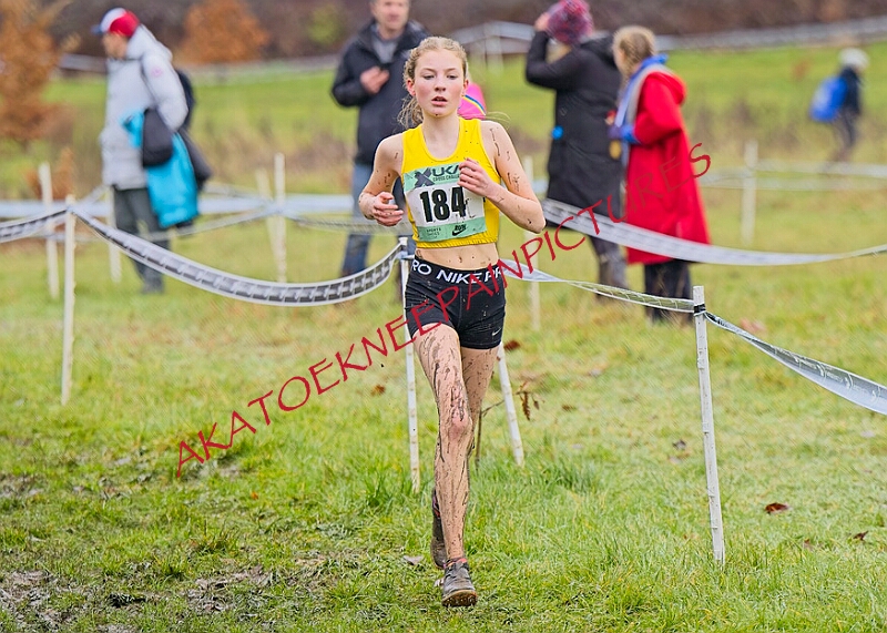 20260207 LONC XC00633A.JPG