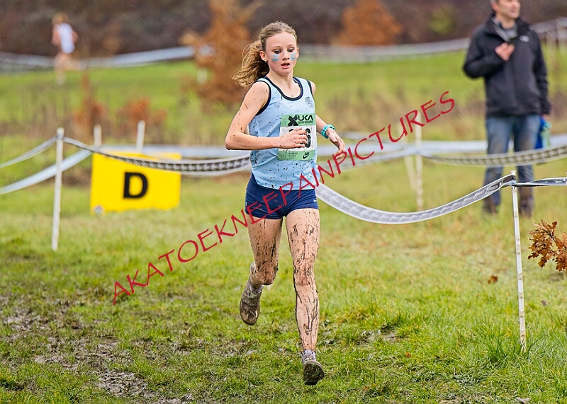 20260207 LONC XC00642A.JPG