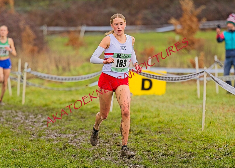 20260207 LONC XC00682A.JPG