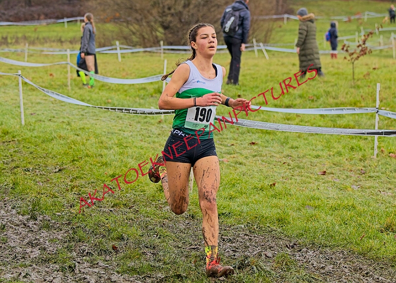 20260207 LONC XC00690A.JPG