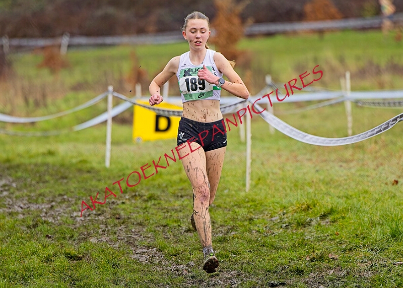 20260207 LONC XC00700A.JPG