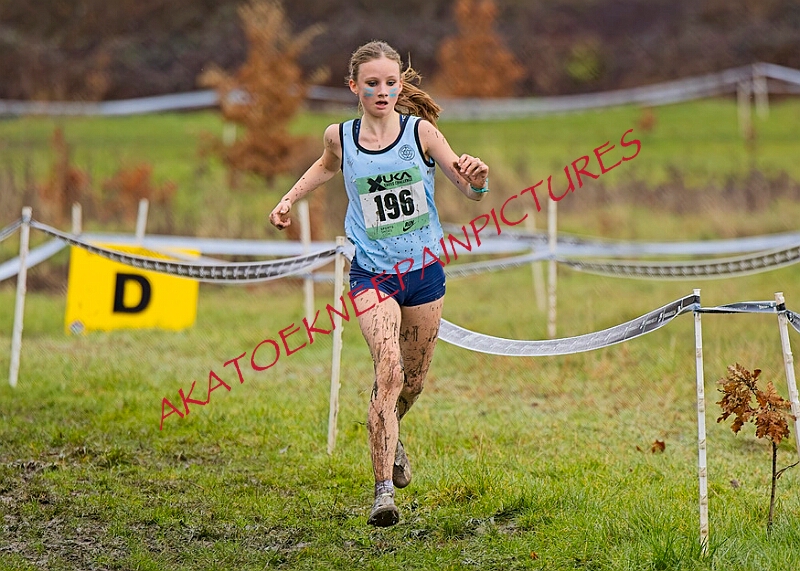 20260207 LONC XC00703A.JPG