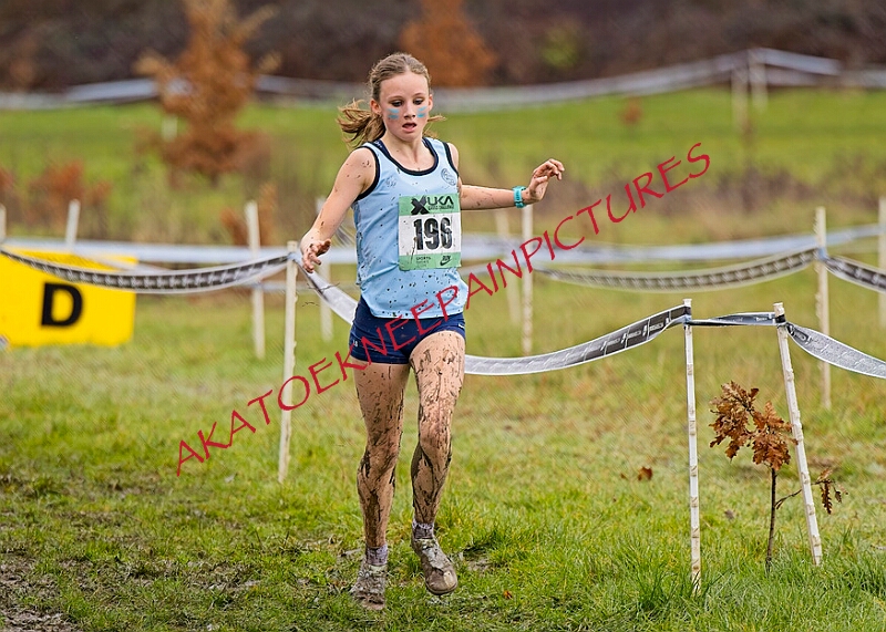 20260207 LONC XC00705A.JPG