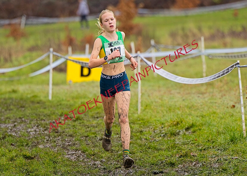 20260207 LONC XC00707A.JPG