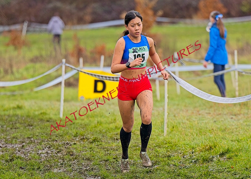 20260207 LONC XC00710A.JPG