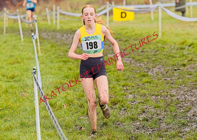 20260207 LONC XC00713A.JPG