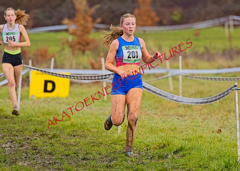 20260207 LONC XC00718A.JPG