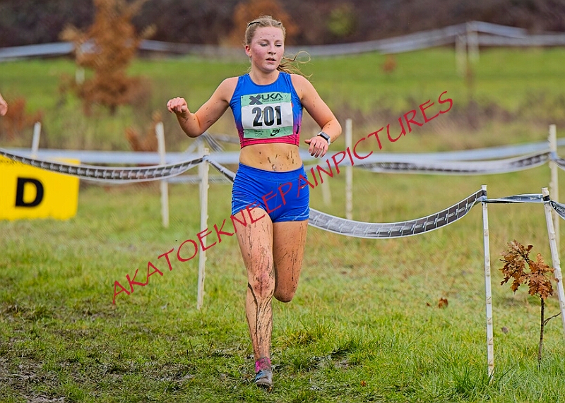 20260207 LONC XC00720A.JPG