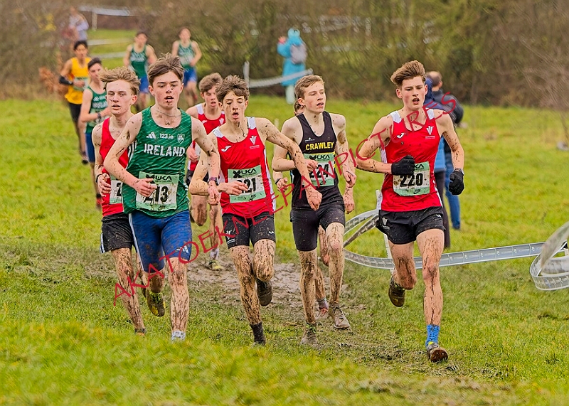 20260207 LONC XC00757A.JPG