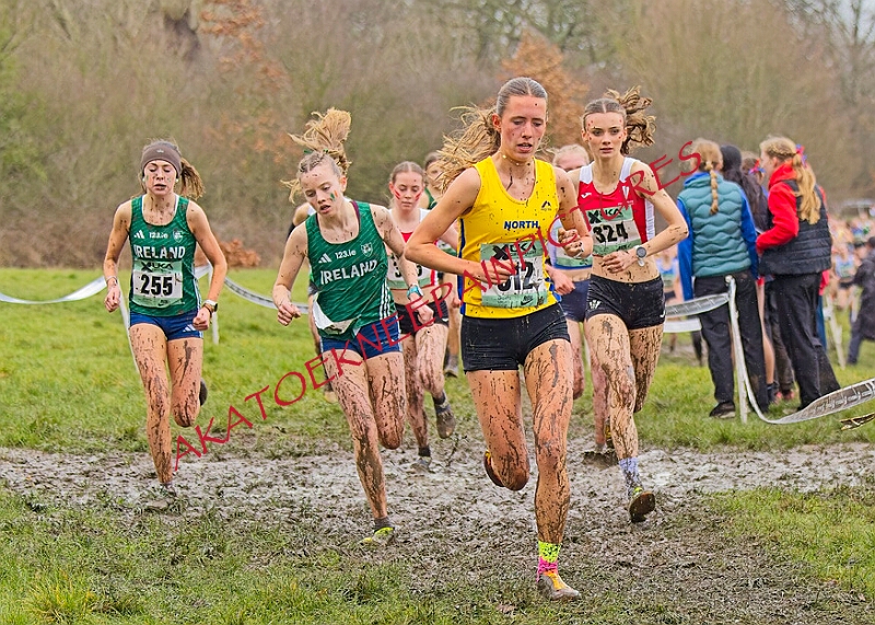 20260207 LONC XC00881A.JPG