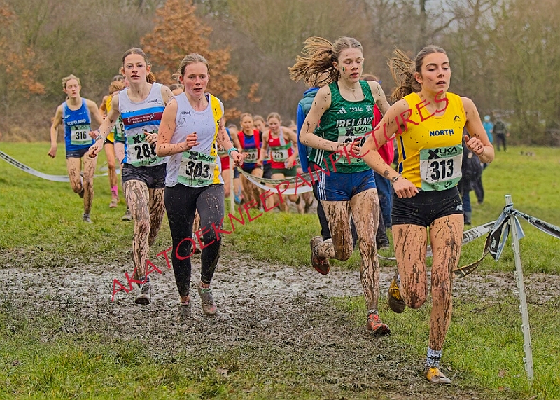 20260207 LONC XC00884A.JPG