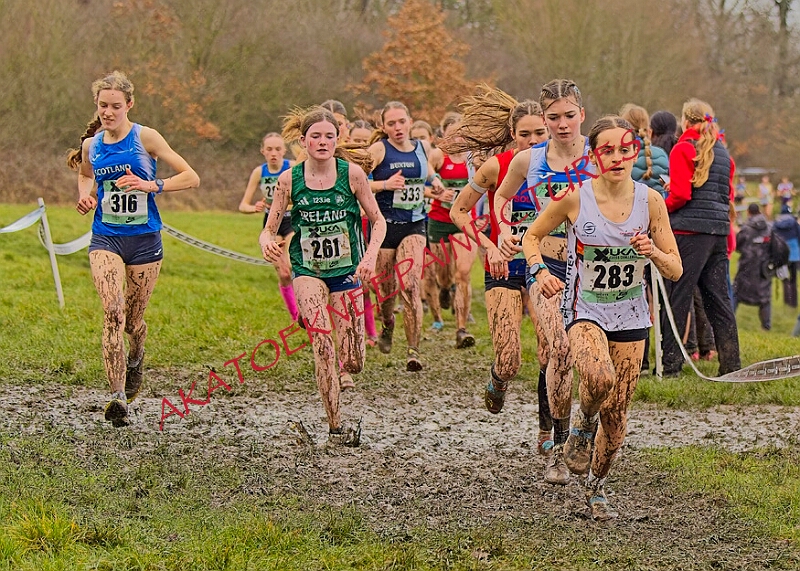 20260207 LONC XC00886A.JPG