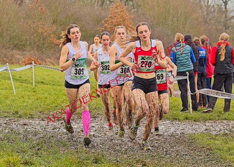 20260207 LONC XC00896A.JPG