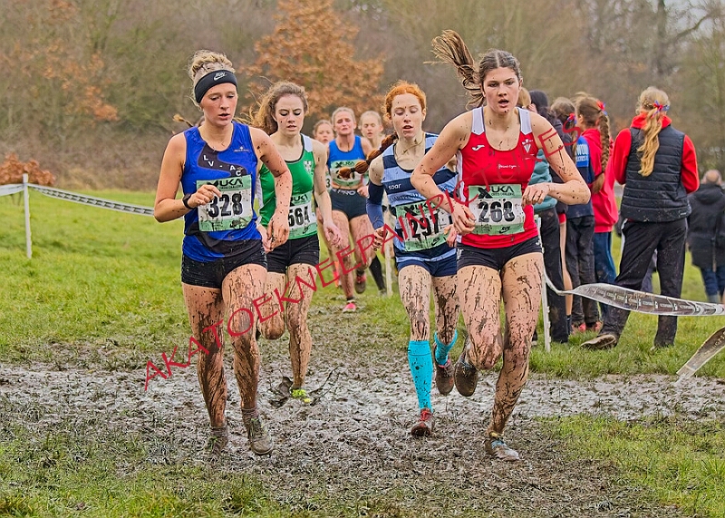 20260207 LONC XC00899A.JPG