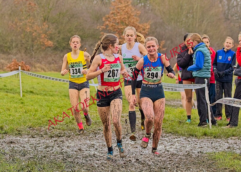 20260207 LONC XC00904A.JPG