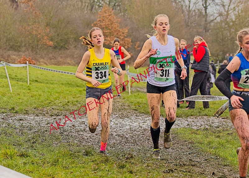 20260207 LONC XC00906A.JPG