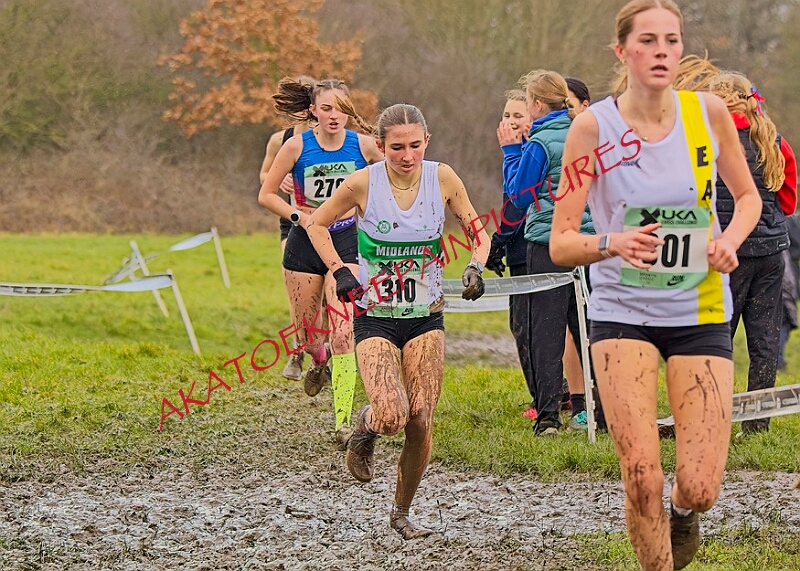 20260207 LONC XC00914A.JPG