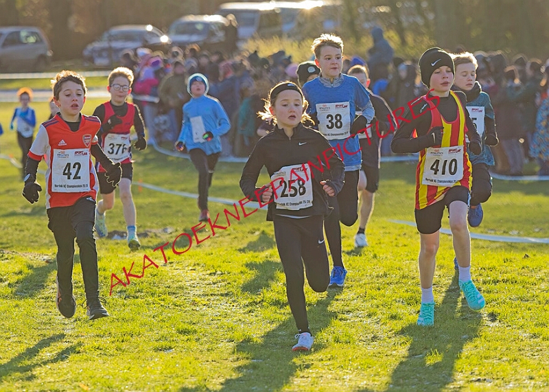 20260104 ANXCA00026A.JPG