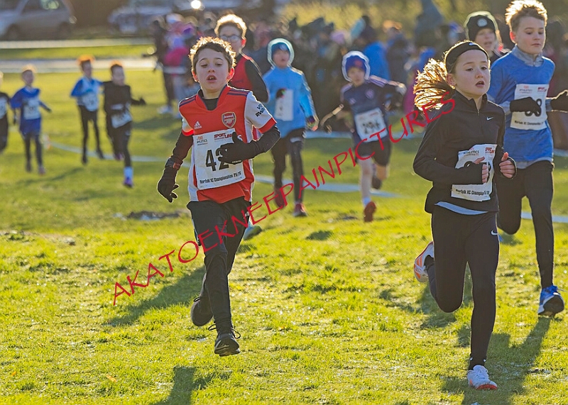 20260104 ANXCA00028A.JPG