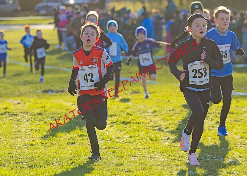 20260104 ANXCA00029A.JPG