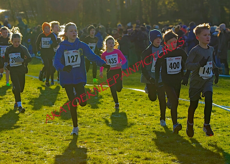 20260104 ANXCA00046A.JPG