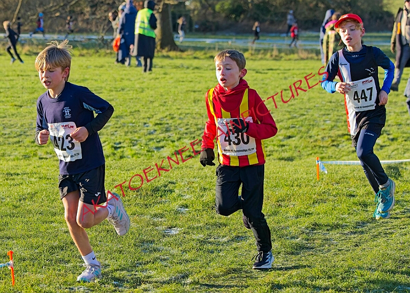 20260104 ANXCA00195A.JPG