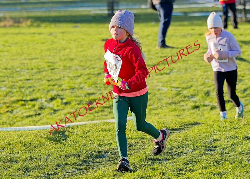 20260104 ANXCA00280A.JPG