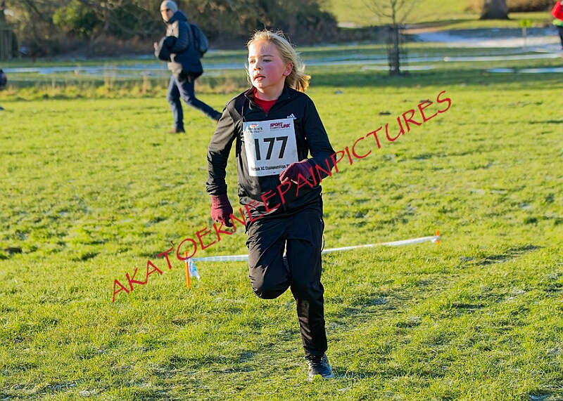 20260104 ANXCA00284A.JPG