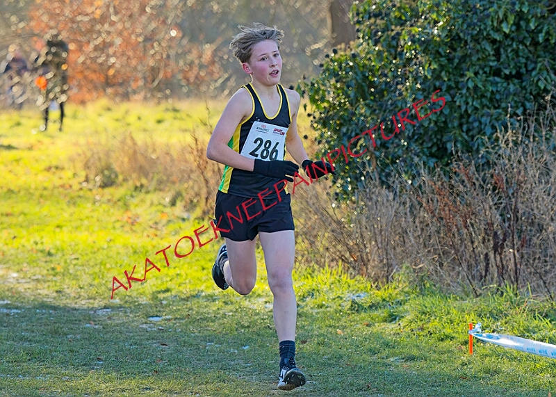 20260104 ANXCB 00007A.JPG