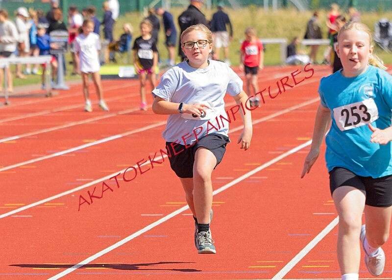 20260613 NORFKSCHSA00082A.JPG
