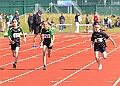 20260613 NORFKSCHSA00086A