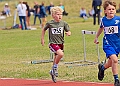 20260613 NORFKSCHSB00029A