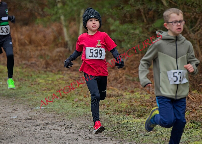 20260111 RRXCJANA 00005A.JPG