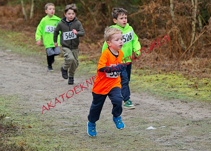 20260111 RRXCJANA 00041A.JPG