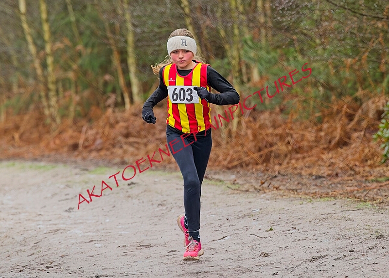 20260111 RRXCJANA 00087A.JPG