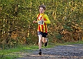 20261011 RRXCOCTA00097A