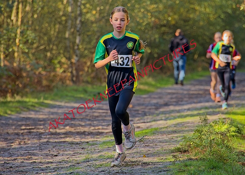 20261011 RRXCOCTA00132A.jpg