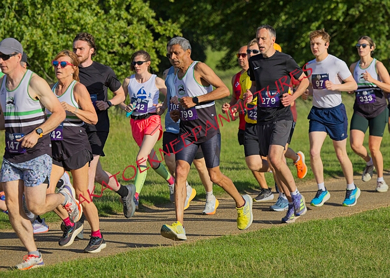 20260612 SANDRINGHAM10K00036A.JPG