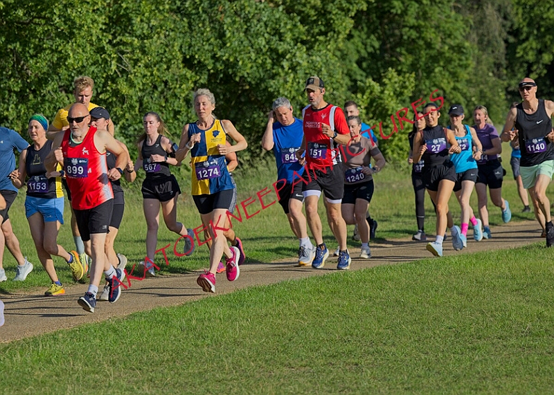 20260612 SANDRINGHAM10K00040A.JPG