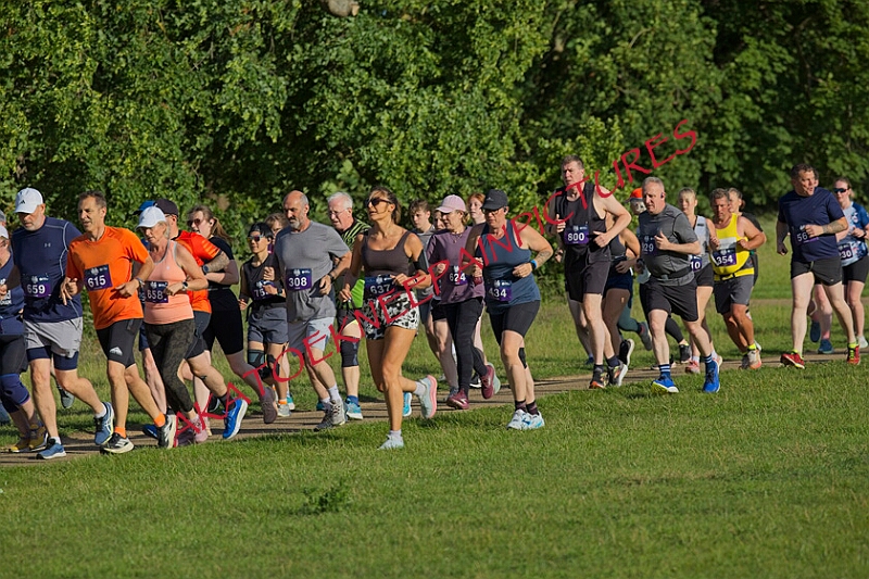 20260612 SANDRINGHAM10K00058A.JPG