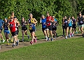 20260612 SANDRINGHAM10K00040A