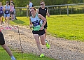 20260612 SANDRINGHAM10K00317A