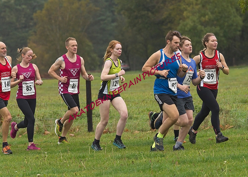 20221106WNACXC0264A.JPG