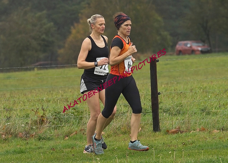 20221106WNACXC0271A.JPG