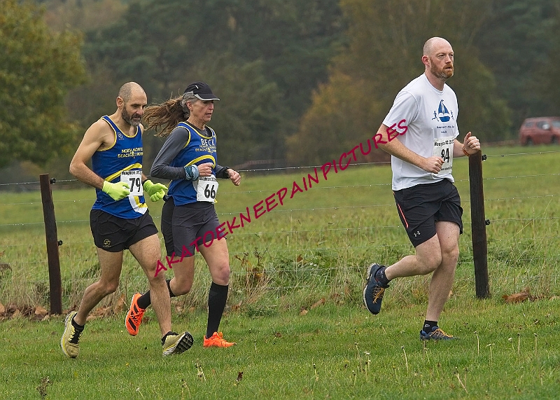 20221106WNACXC0273A.JPG