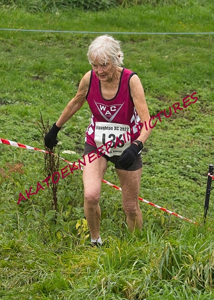 20221106WNACXC0454A.JPG