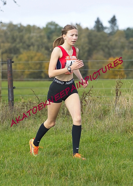 20231105WNACXC00085A.JPG